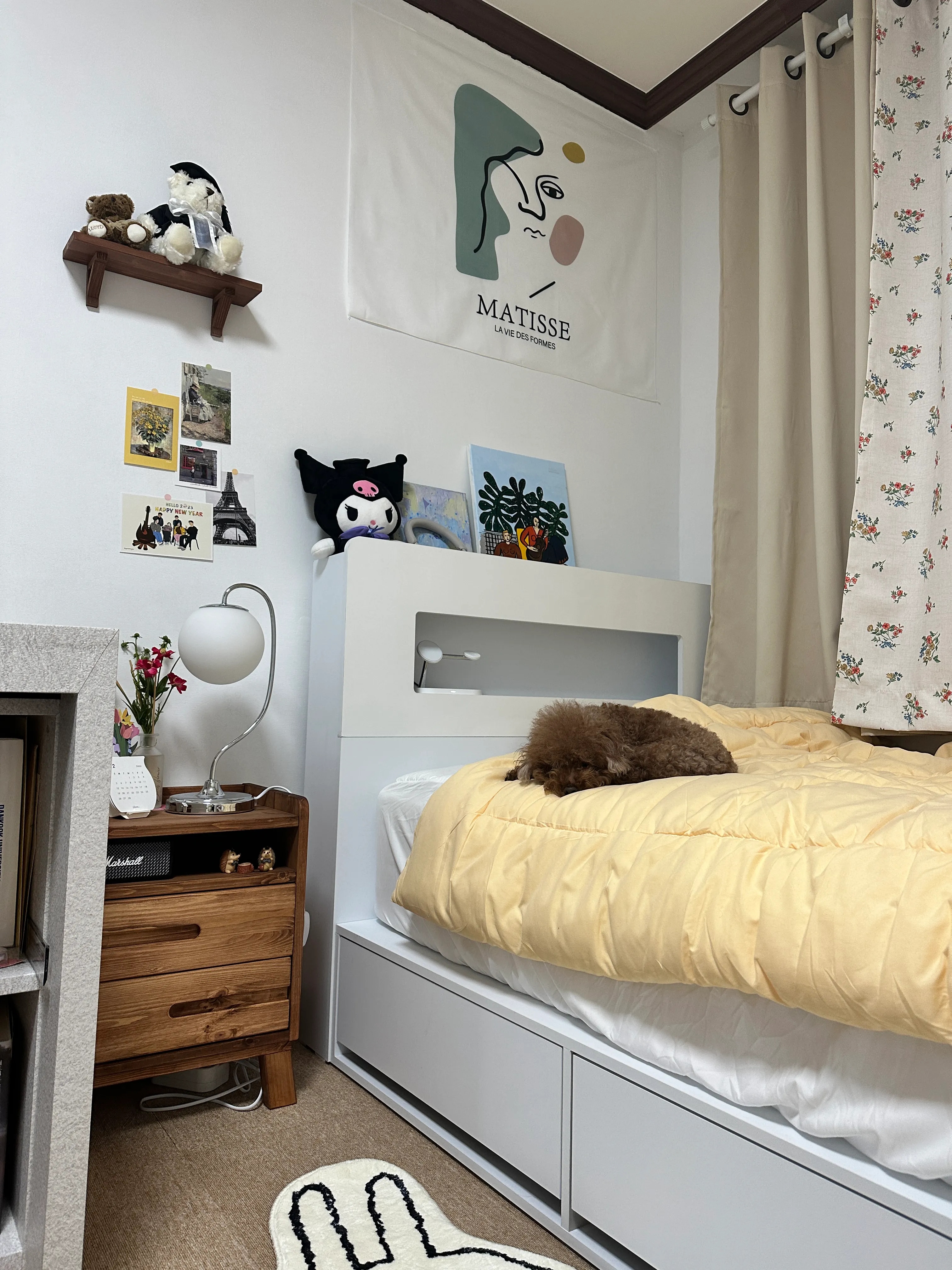 Chubby Cat Mat user photo