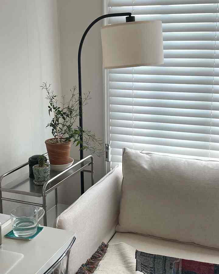 White and beige toned living room corner featuring a single sofa, floor lamp, stainless steel trolley with potted plants in a clean setting