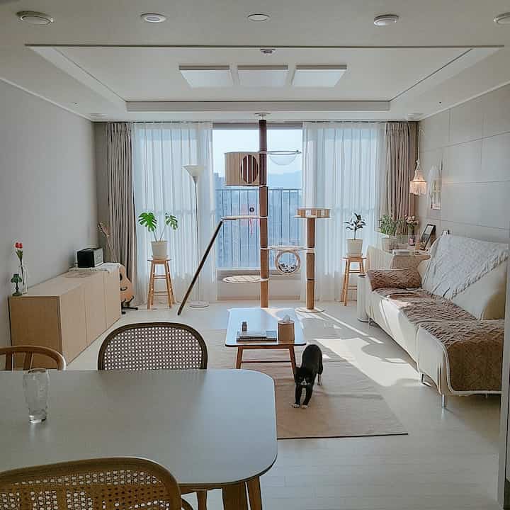 Bright white and wood-tone living room featuring a large central cat tower and cats, showcasing warm Nordic style interior