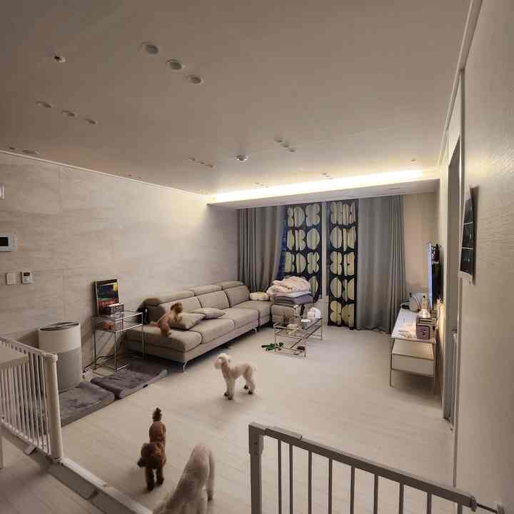 白い床と壁、グレーのソファとカーテンがある犬と暮らすリビング