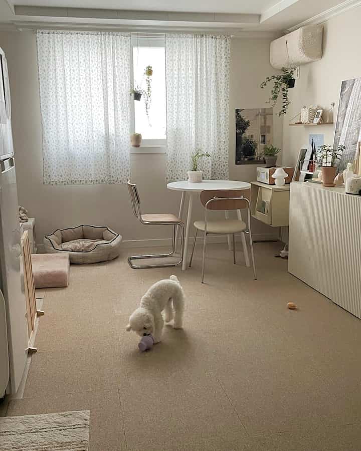 Natural small room in soft beige and white tones featuring round dining table and chairs, with pet toys and bed for dog