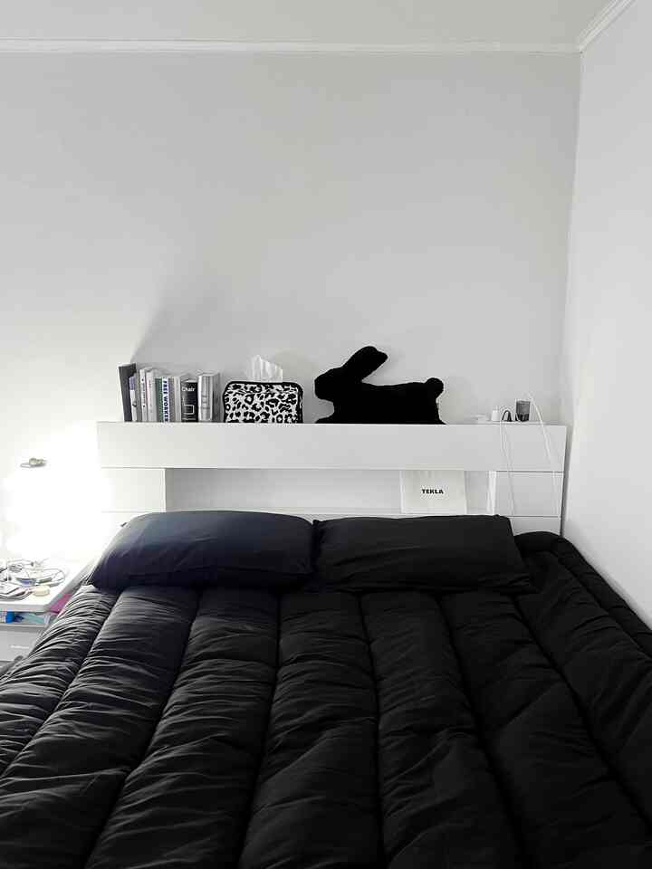 Adopt a black rabbit🐰