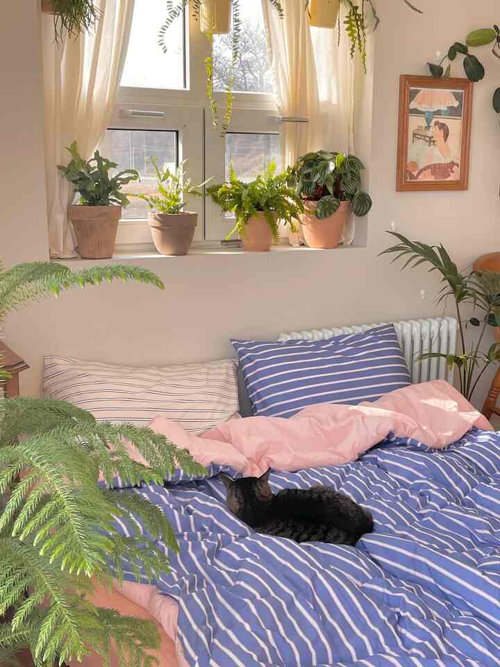 Natural-toned bedroom with blue striped bedding and a cat resting, featuring cozy and inviting decor
