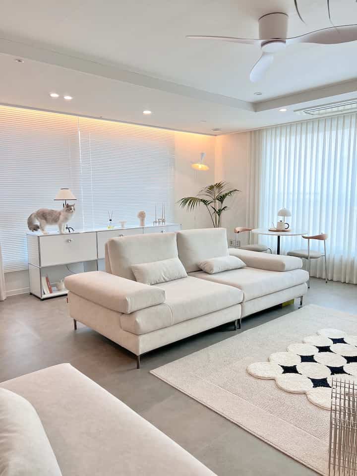 White tone living room featuring Mid-Century Modern sofa and rug, plant, and a cat creating a cozy atmosphere