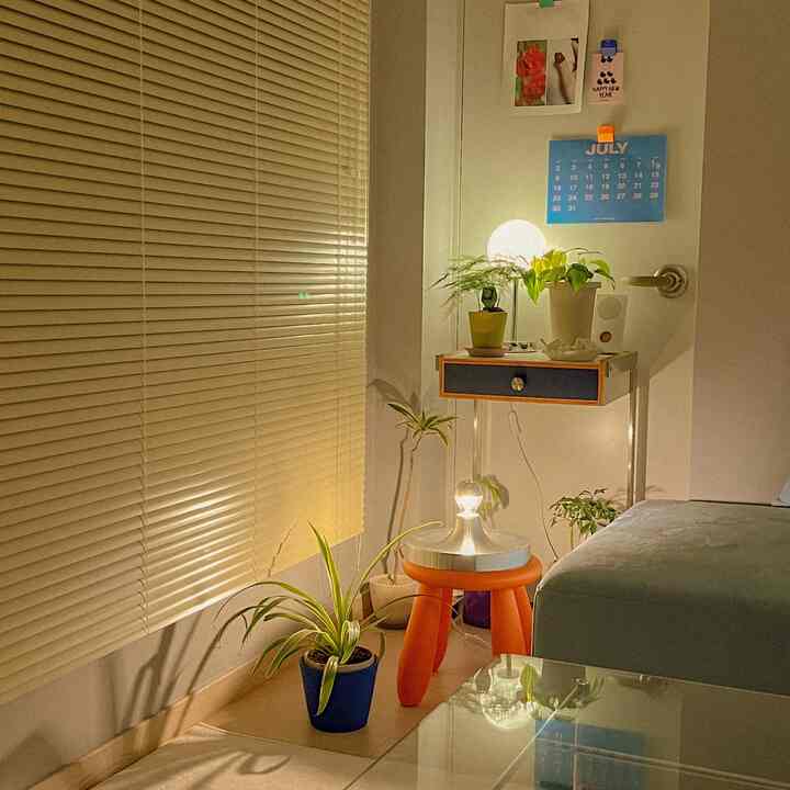 A cozy studio apartment featuring a warm orange stool, multiple plants, and soft lighting creating a comfortable atmosphere