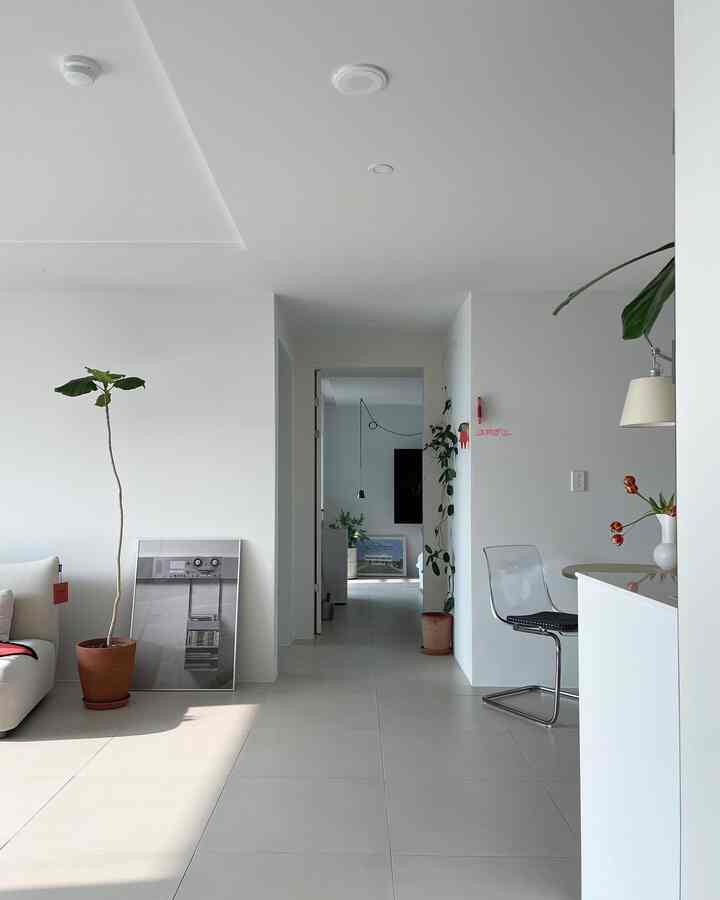 Bright white-toned living room with natural color flooring, plants, transparent chair, and simple sofa arranged in a modern space