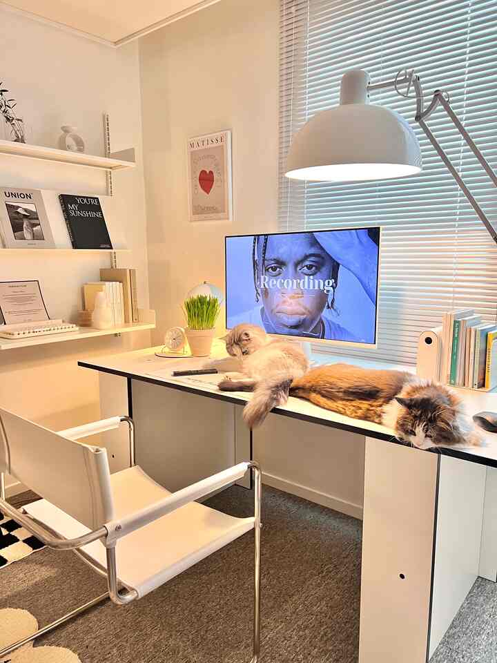 White-toned home office space featuring a clean desk with two cats resting comfortably, showcasing simple modern interior design