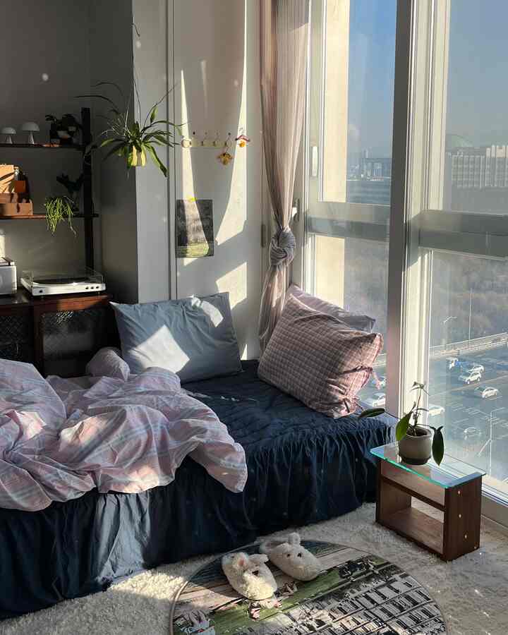 Bright and cozy studio bedroom with white walls, navy bedding, sheer curtains, and indoor plants by large window