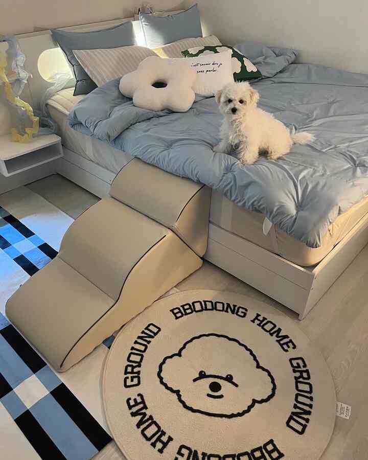 ブルーとホワイトの落ち着いた寝室、ふかふかの寝具とペット用ステップの上に小さな犬が座る、印象的な空間