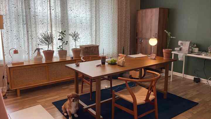 Wood tone and deep blue carpet harmonize in this home office and workspace with a small dog sitting front-center in a calm room