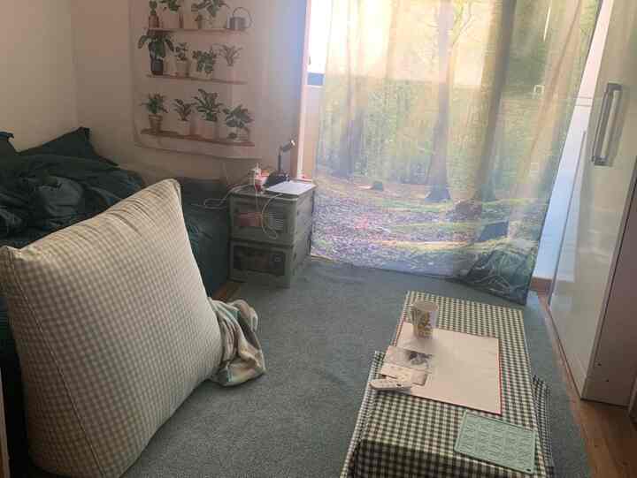 Natural toned compact studio apartment serving as bedroom and living room, featuring large rug, nature scene curtain, bed, and plants creating cozy atmosphere