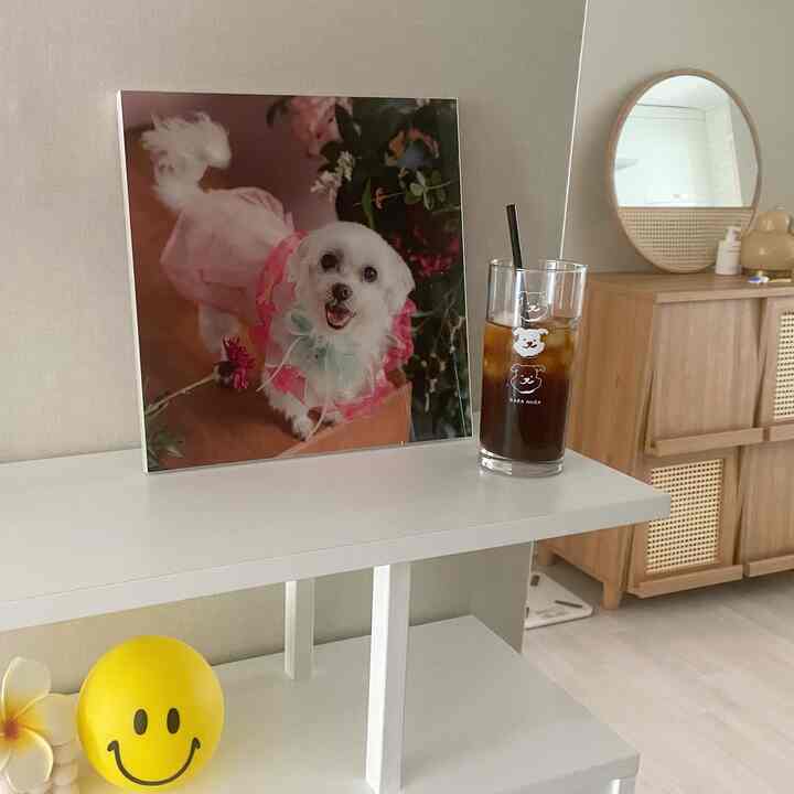 A natural wood tone interior featuring white walls and shelving, decorated with a dog photo and an iced Americano coffee glass, creating a cozy home cafe vibe