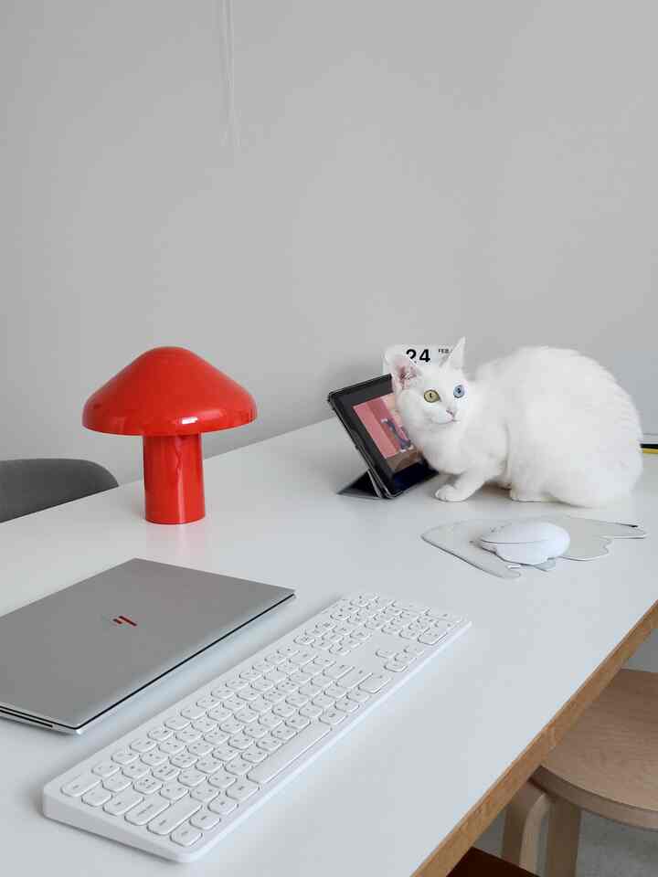 Since I spend a lot of time at home in my study, I think I have the most desk photos in my photo album. 

My youngest cat, who is a gum-lover, is always with me on the desk. ㅎㅎㅎ
