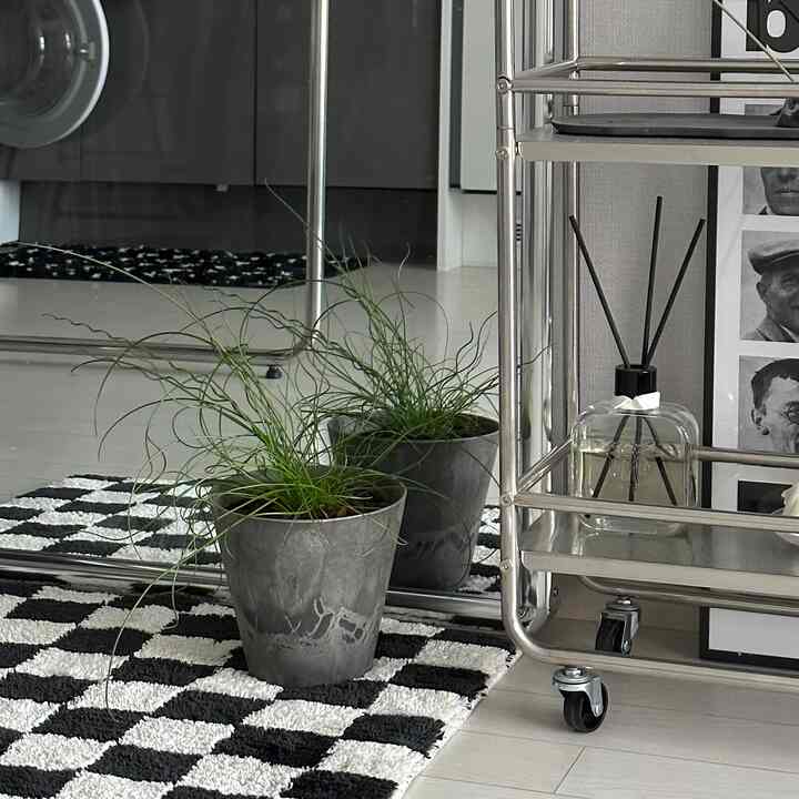 モノトーン調のリビングの一角、チェッカーボード柄のラグに置かれた植物がある印象的なインテリア