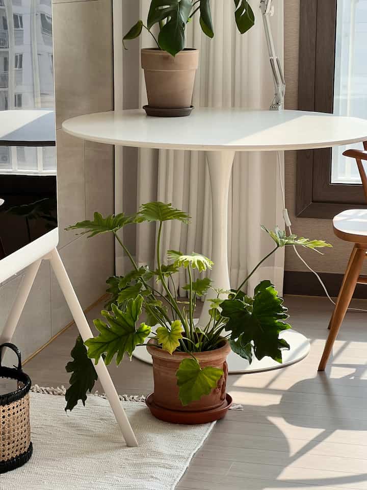 Tagged posts featuring LG OLED Objet Collection Posé 1