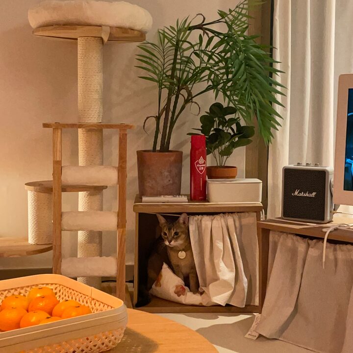 short form carousel card thumbnail