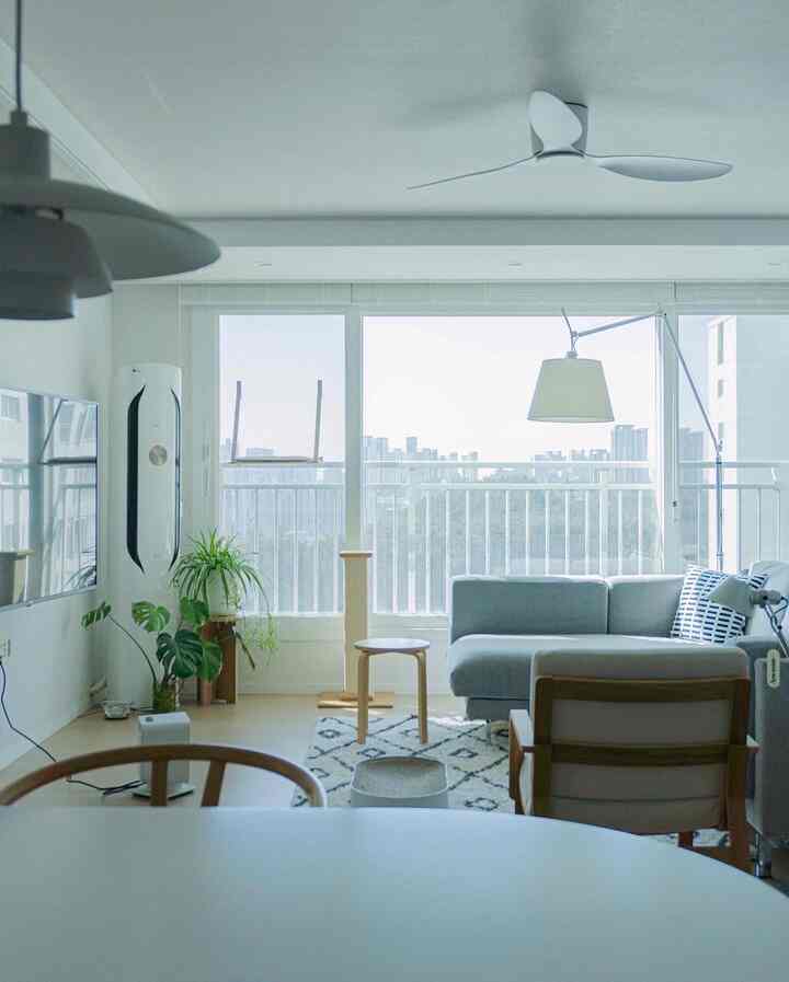 Bright white walls and wood-tone furniture in an apartment living room featuring city views through large windows and cat furniture, creating a natural modern ambiance
