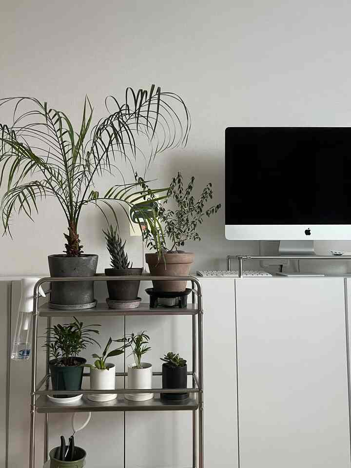 A modern home office space with white walls and a stainless steel trolley holding various green plants, creating a natural ambiance