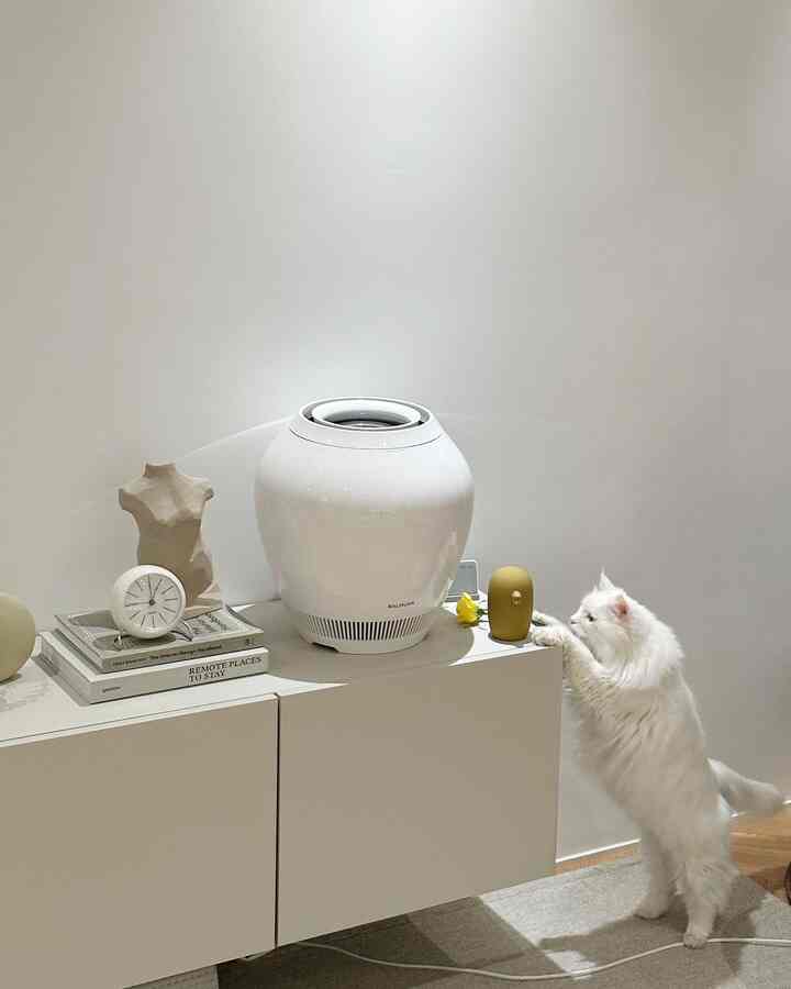 Minimal interior with white and beige tones in a living-room-like space, featuring a white cat and a simple white cabinet