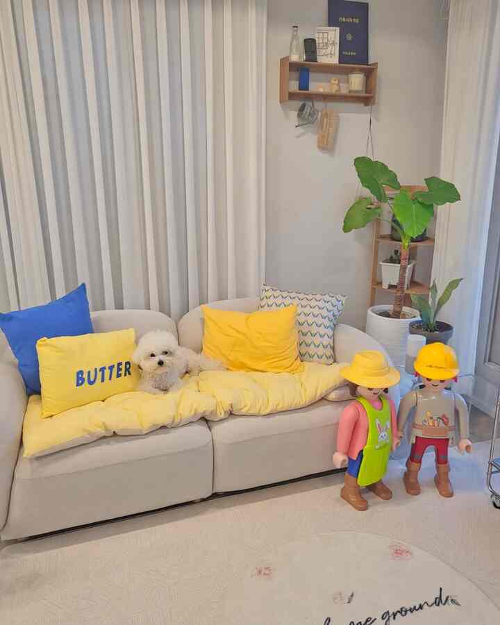 Warm living room featuring beige sofa with yellow cushions, pet dog, plants, and a wooden shelf creating cozy atmosphere