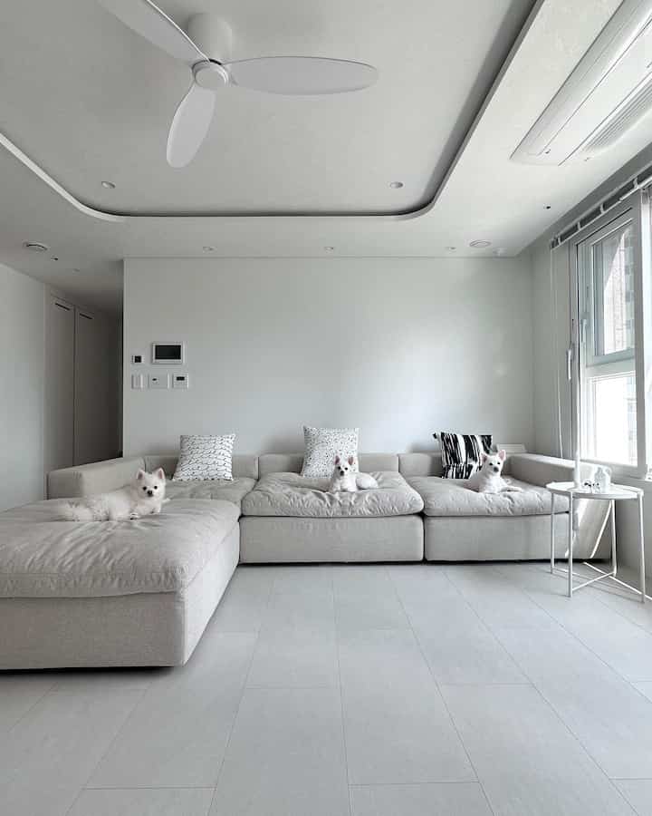 白とライトグレーのトーンのリビング、モダンでシンプルな空間にソファとオットマンが配置され、三匹の小さな犬がくつろいでいる印象的なインテリア