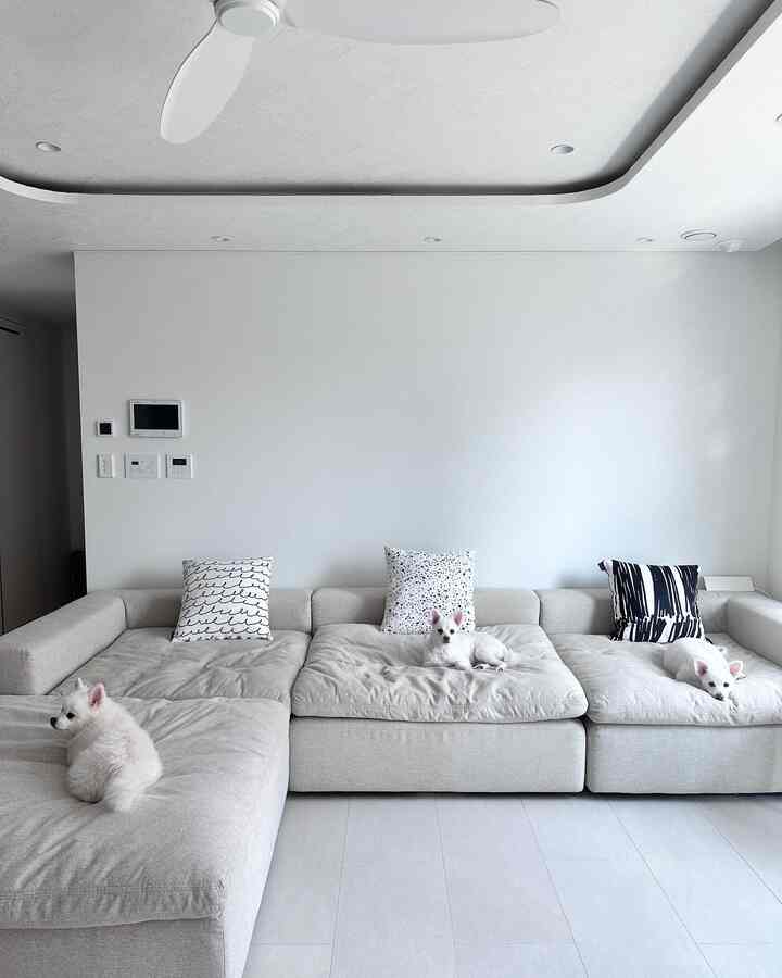 Light beige-toned living room featuring a large modular sofa with three white dogs comfortably resting, showcasing a natural modern style