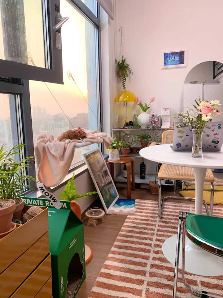 キャットハウス 牛乳パックを使ったコーディネート 2