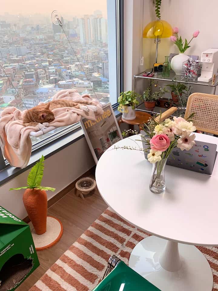 白と茶色の色調のリビング、窓際に猫がいる雰囲気のあるホームカフェスペース