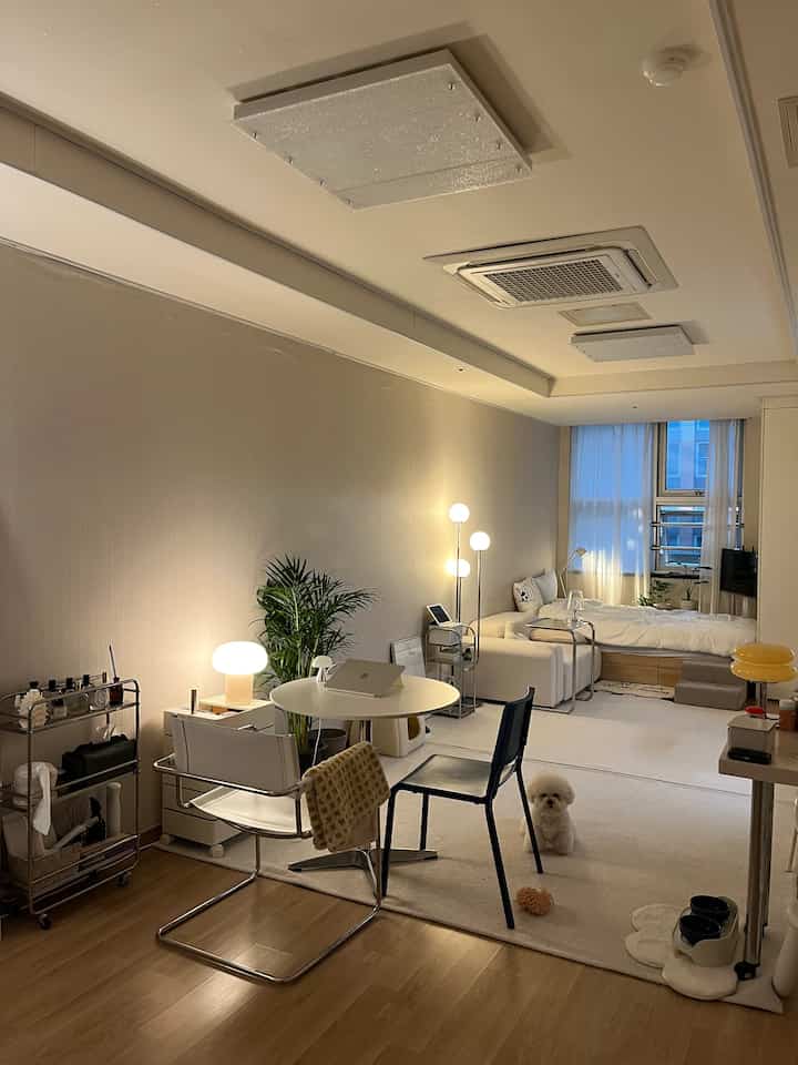 A white and wood tone studio apartment featuring a bed, sofa, desk, and a pet dog in a cozy modern setting