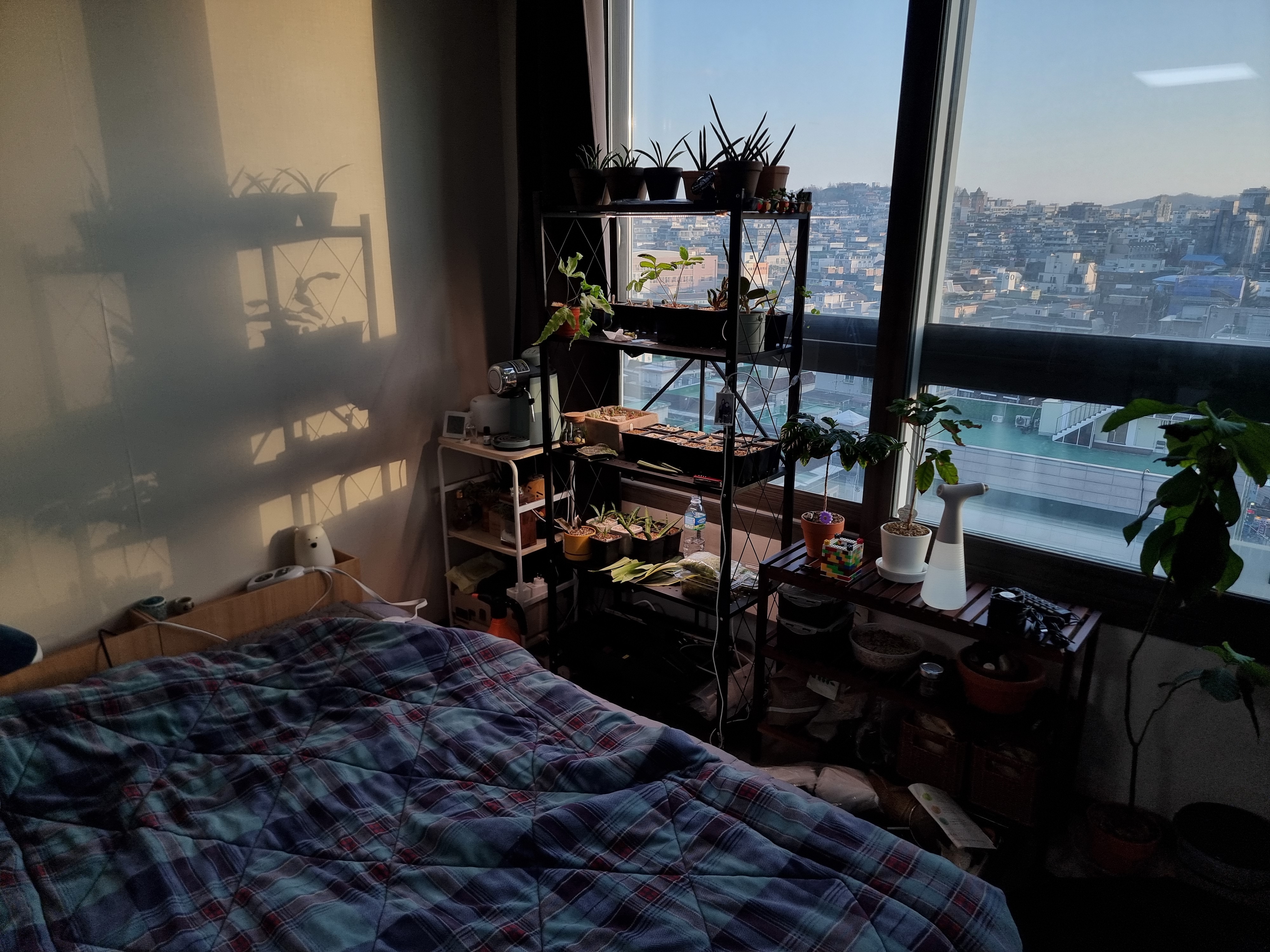 Low Bed Headboard with Concealed Shelf Storage user photo