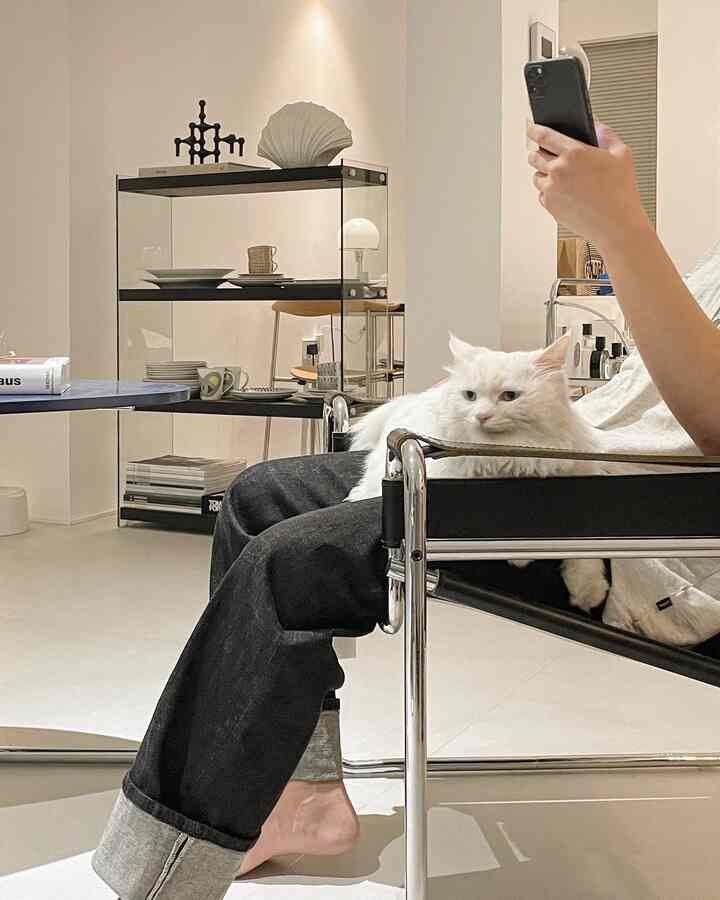 White and black toned living room featuring glass shelves and a mid-century modern style armchair in a clean space