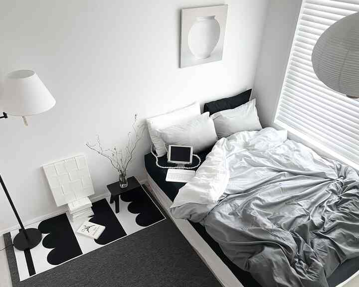 Black and white toned bedroom featuring a bed, rug, minimalist lighting, and simple decor creating a clean atmosphere