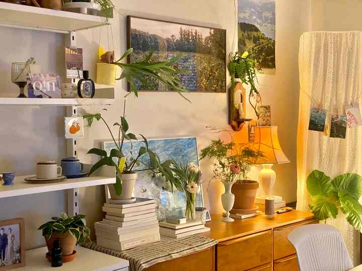 Natural-toned dresser and various plants arranged in a cozy space, with warm table lamp lighting adding a soft ambiance