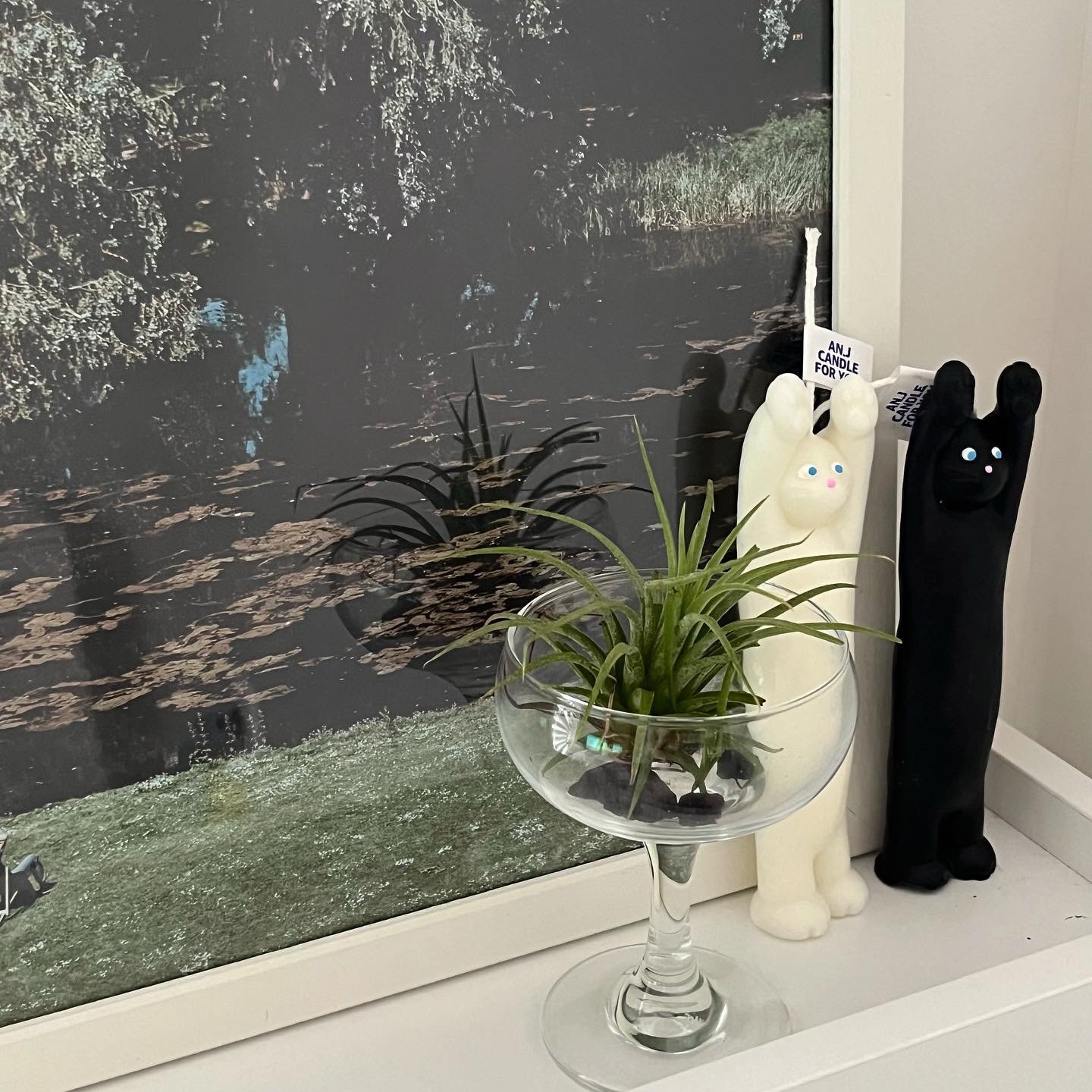 Stretchy Cat Object Candle user photo