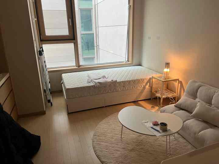 Natural and white toned studio apartment featuring a bed, sofa bed, and simple cozy setup