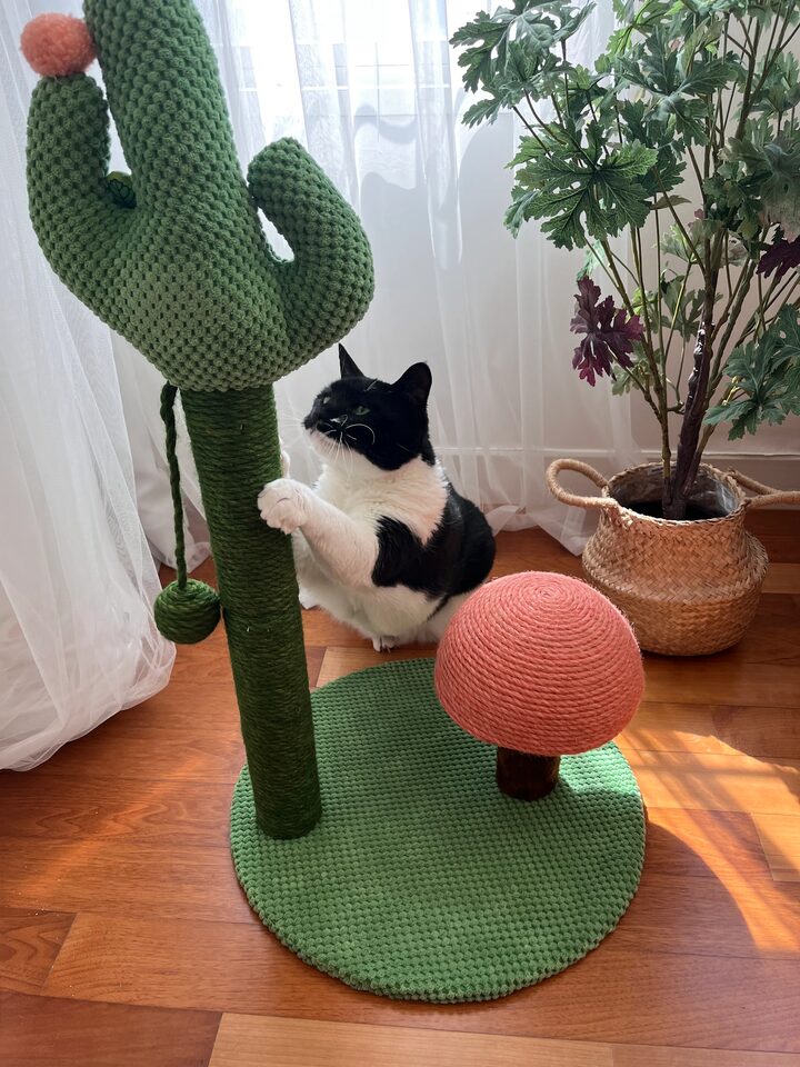 short form carousel card thumbnail