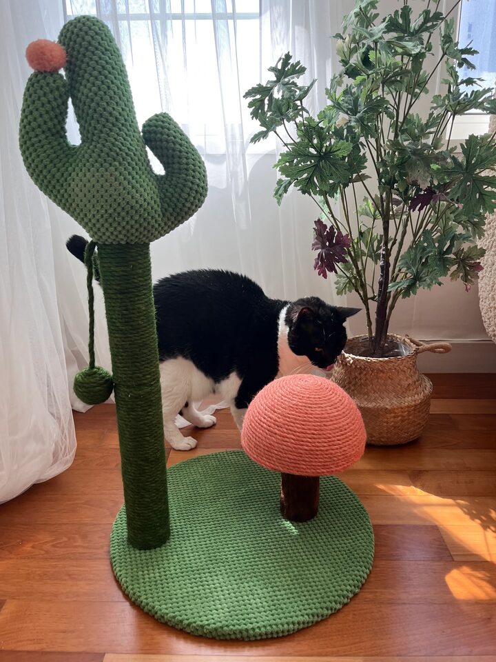 short form carousel card thumbnail