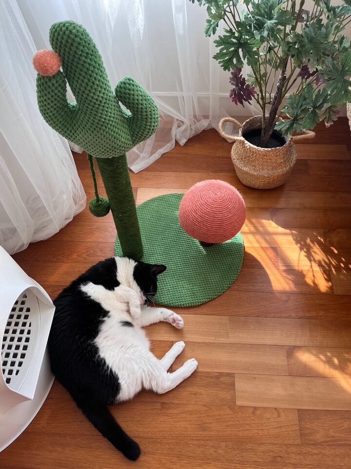 short form carousel card thumbnail