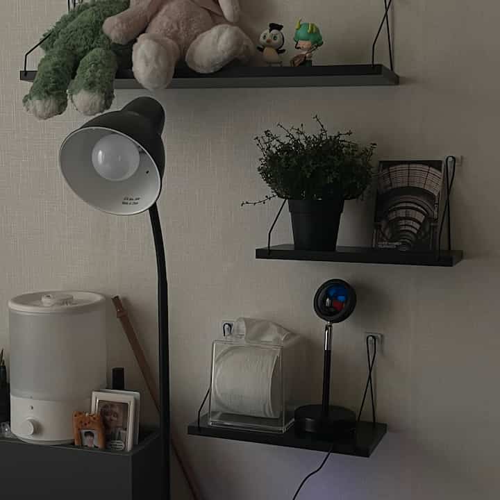 Monotone toned bedroom wall featuring a black floor lamp and three wall shelves with plants and decor, creating a modern interior space