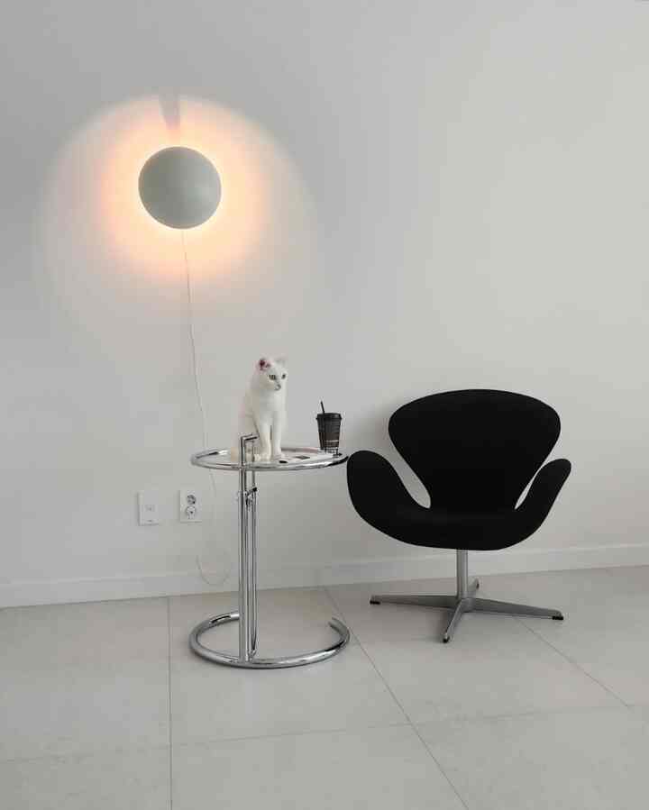 Simple modern living room with white walls and floor featuring a black armchair and chrome side table with a cat seated on the table