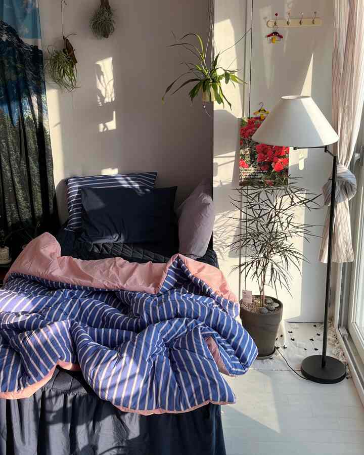 White walls and floor with blue bedding in a studio bedroom, featuring natural light and plants creating a cozy atmosphere