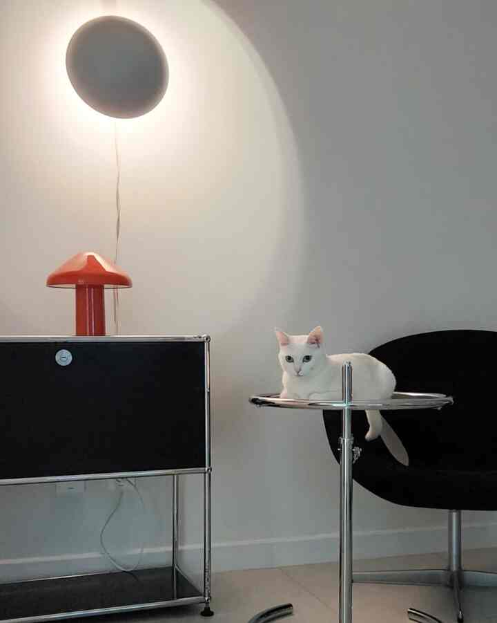 White and black toned living room featuring a cat on a round chrome side table and a red table lamp, creating a simple atmosphere