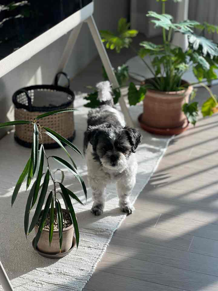 Tagged posts featuring LG OLED Objet Collection Posé 2