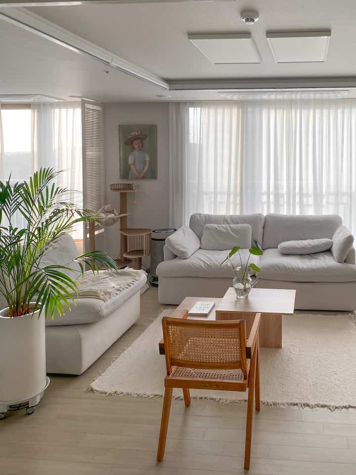 Soft white and wood tone living room featuring rattan armchair and cat tower with a natural, airy atmosphere