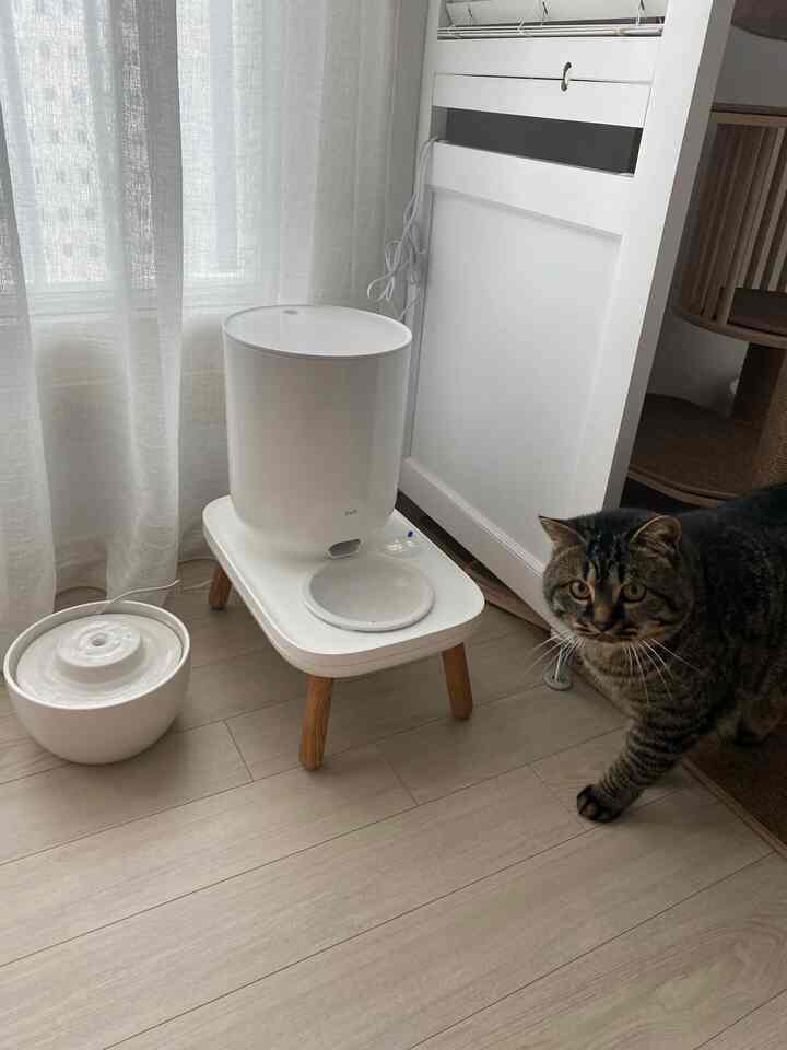 ナチュラルカラーとホワイトトーンの小さな空間、自動給餌器と自動給水器、猫がいる雰囲気のあるペット対応のインテリア