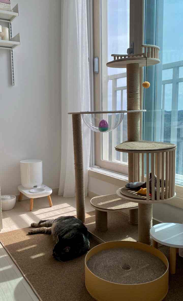 明るくナチュラルなブラウンとホワイトの色調のベランダ横の狭い空間にキャットタワーと爪とぎがあり、くつろぐ猫がいる印象的なインテリア
