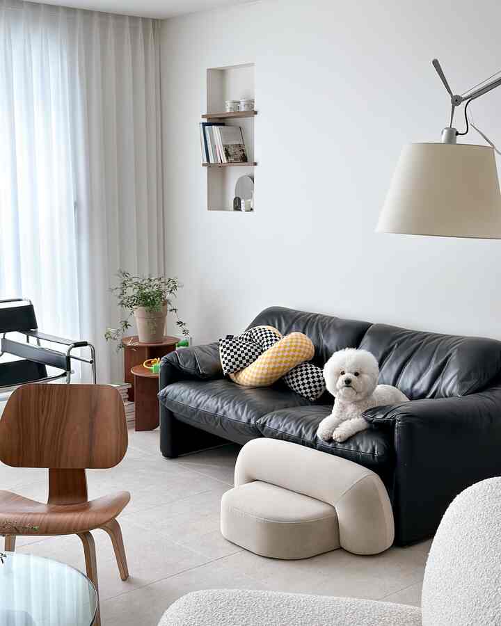 A modern natural living room with white walls and tiled floor, featuring a black leather sofa with a white dog and wood-tone chairs