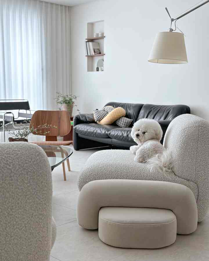 A modern living room with white walls and wood accents, featuring a white bouclé sofa and black leather sofa with a white dog resting on the sofa.
