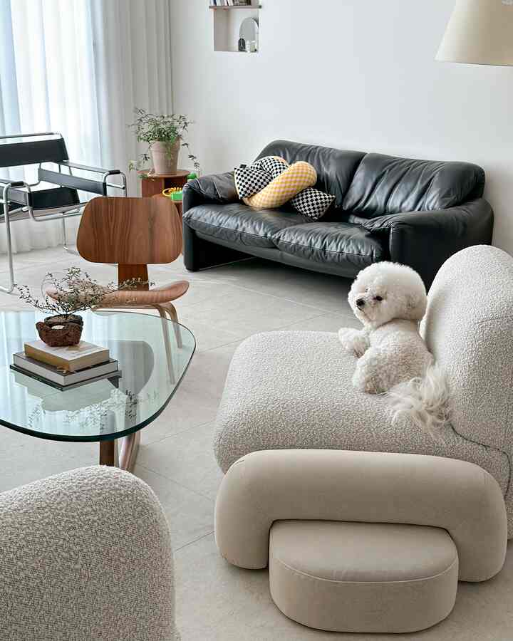 White-toned living room featuring black leather sofa, bouclé armchair, and a relaxed fluffy dog in a natural modern style space