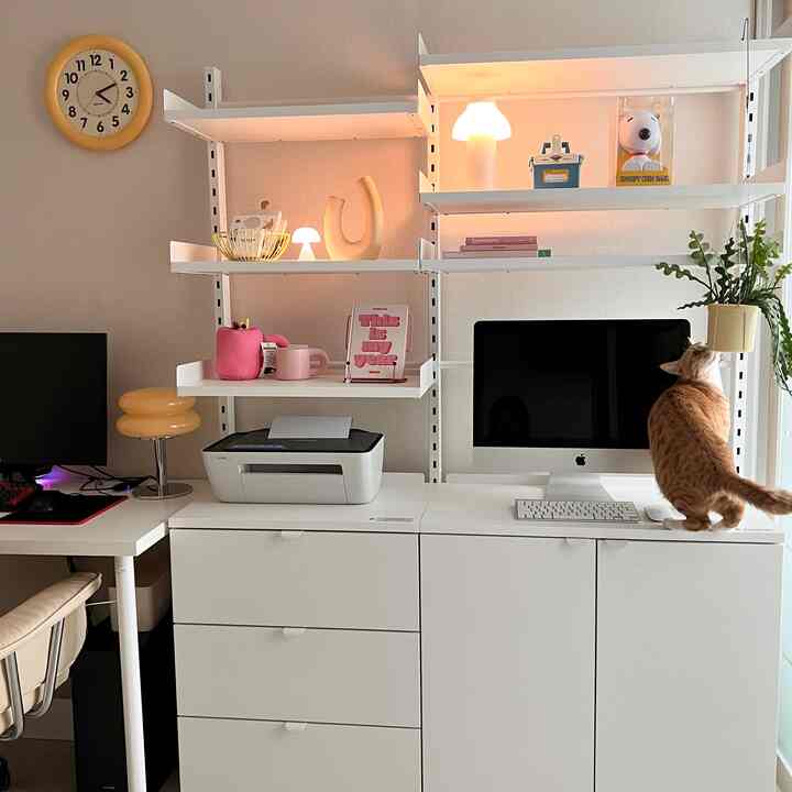 White and yellow toned study featuring modern furniture, bookshelf, a cat, and plants creating a clean atmosphere